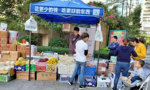 社區團購轉向理性競爭，日用百貨銷售迎高質量發展新機遇